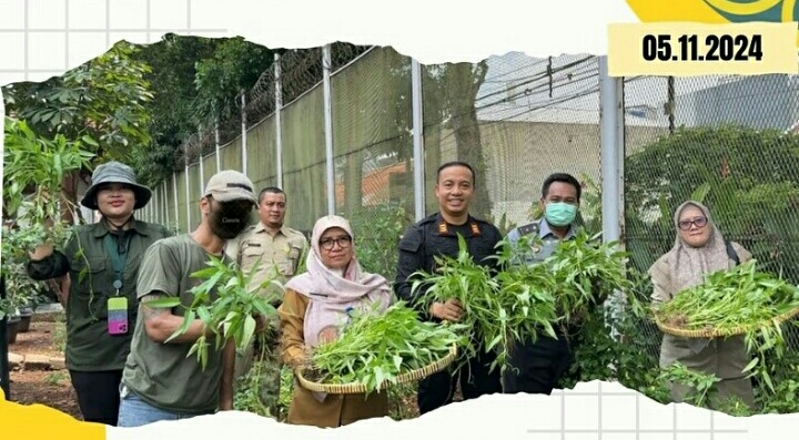 Rutan Salemba Kelas 1 Jakarta Pusat Gandeng Suku Dinas Kelautan Pertanian Dan Ketahanan Pangan “KPKP” Panen Sayuran