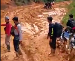 Pemerintah Kalimantan Barat Sedang Dalam Rangka Pembuatan Akses Jalan Pintas Di Antara Dua Kabupaten