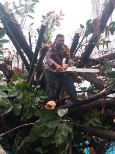 Aksi Heroik Bhabinkamtibmas Jatiwaringin Bripka Wardoyo Evakuasi Korban dan Pohon Tumbang di Pondok Gede